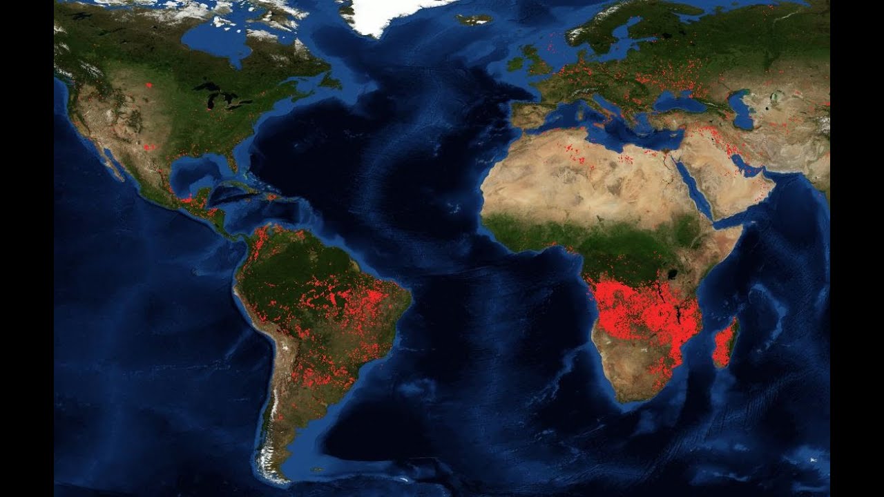 Should you compare Brazil's Amazon fires to those in Central Africa? | #TheCube
