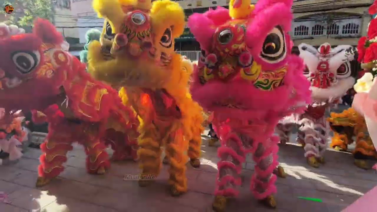 龙凤楼开张 - 舞狮 - 衡英堂龙狮团