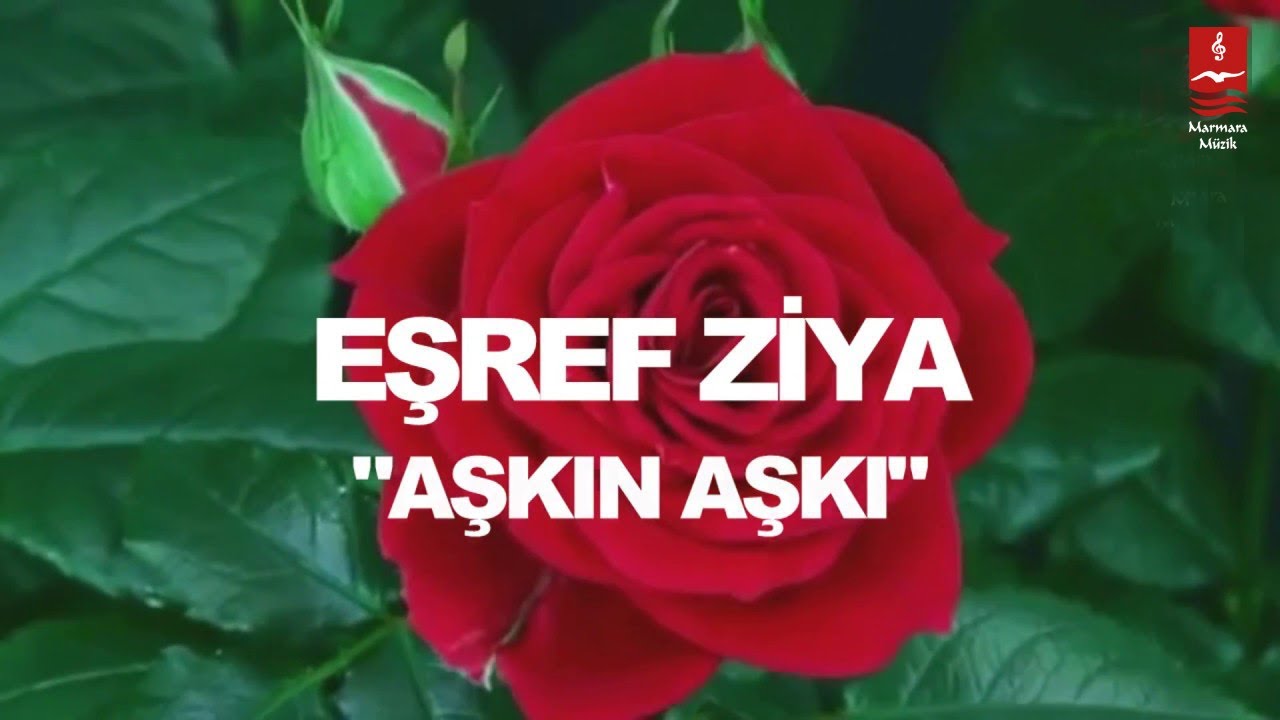 EŞREF ZİYA  