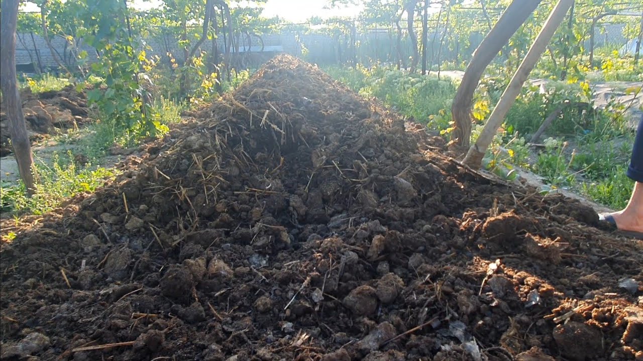 Мана натижа 😱😱😱 Гонг 70 С°  кизияпти ?!!