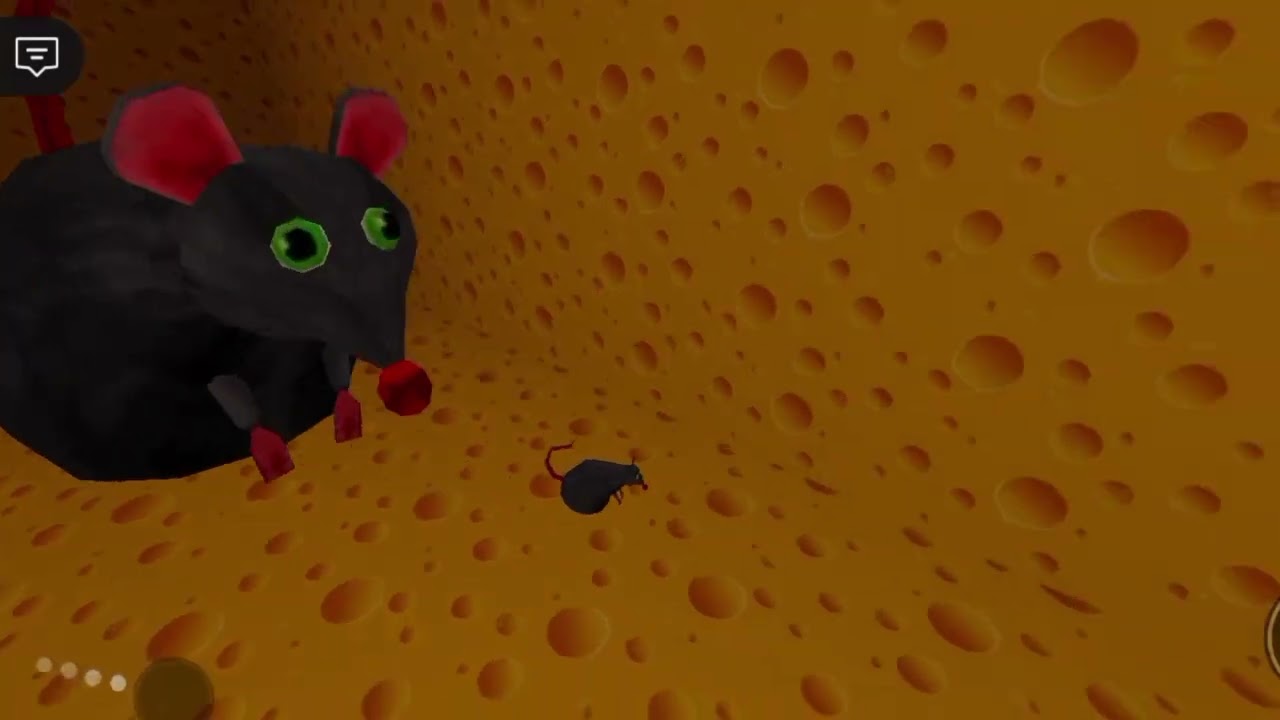 I got flashed at the end lol [roblox]