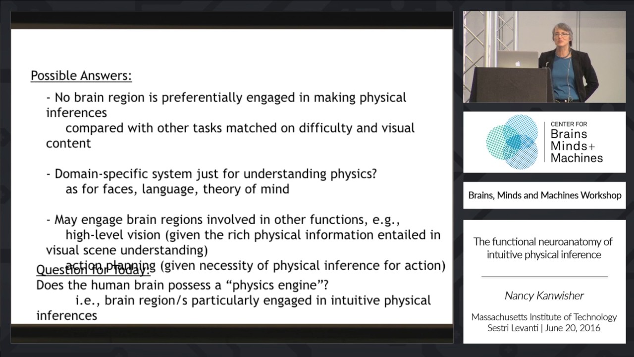 The Functional Neuroanatomy of Intuitive Physical Inference