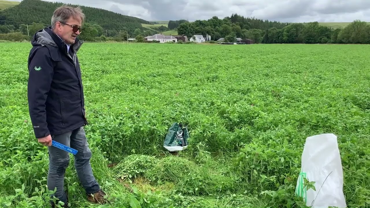 The Benefit of Red Clover in an Organic Grass Mixture.