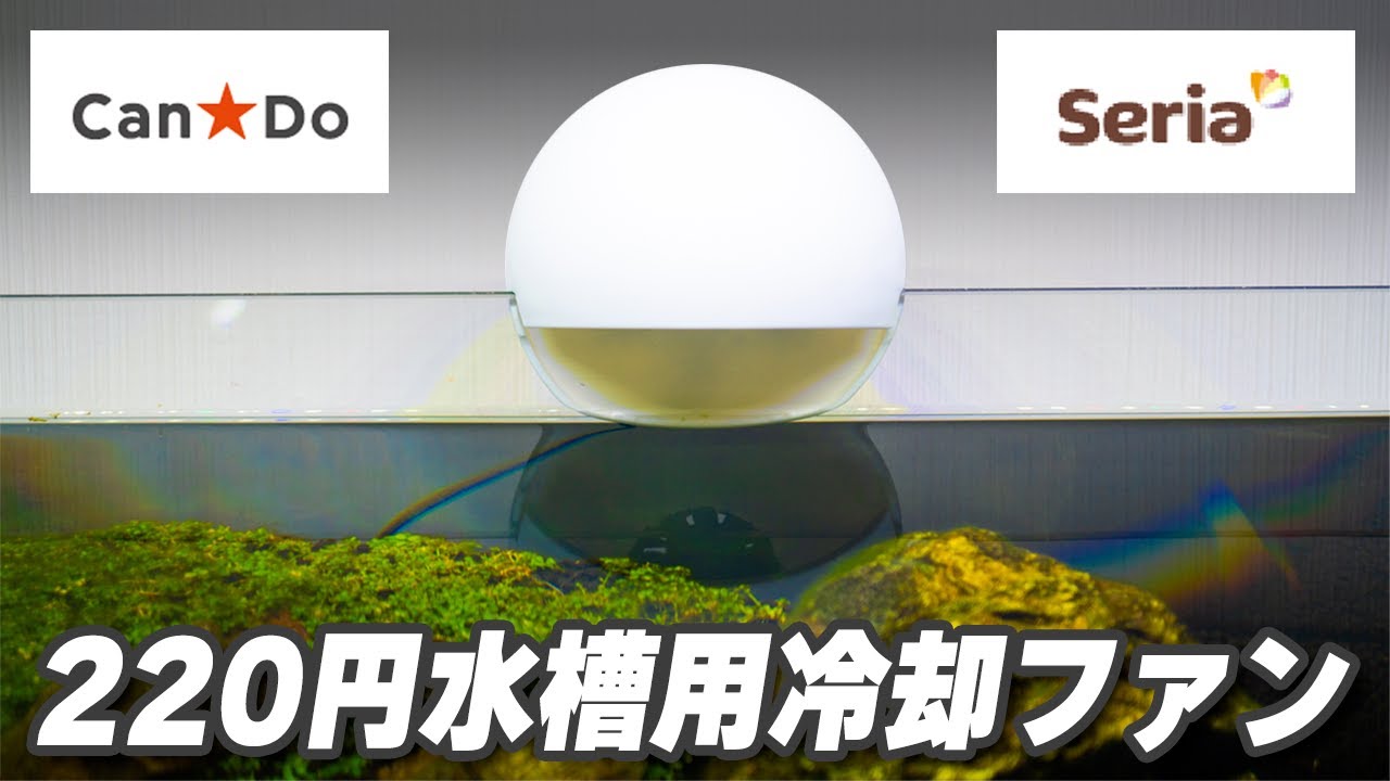 【100均アクア】ちょっと変わった水槽用ファンを自作してみたら… #アクアリウム 【ビバアクア】