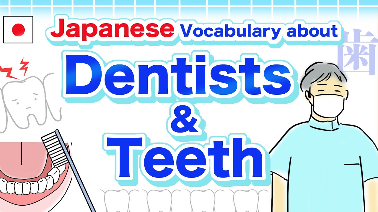 Japanese Vocabulary about Dentists & Teeth🇯🇵Front tooth, Plaque, Toothache, Dental hygienist, Nerve