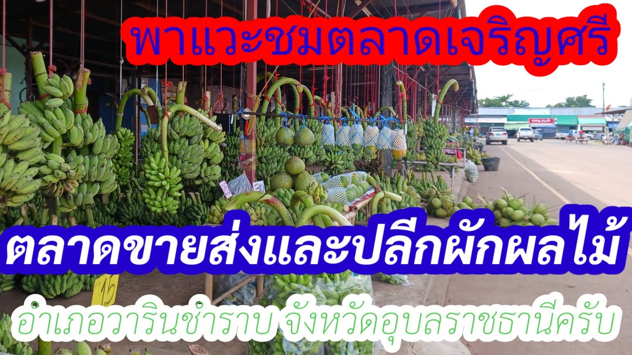พามาชมตลาดเจริญศรีตลาดขายส่งปลีกผักผลไม้ที่ใหญ่ที่สุดในจังหวัดอุบลครับ