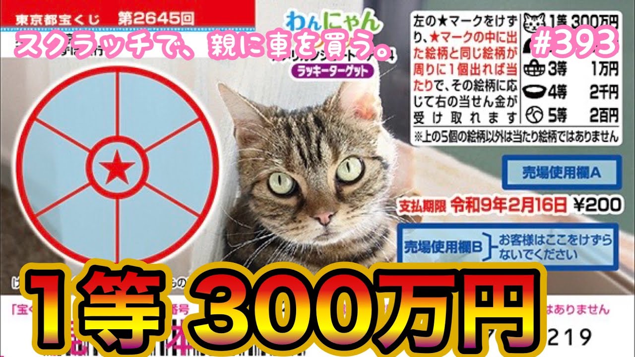 10枚セットでリベンジ!!【わんにゃんスクラッチ アメリカンショートヘアー4 ラッキーターゲット】1等300万円目指して10枚セットでリベンジしてみた！！【宝くじ】