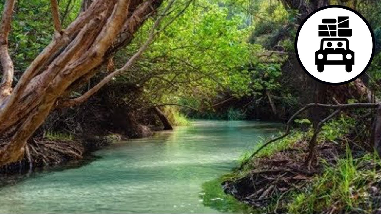 Eli Creek - Fraser Island Part 9 | Where To Now