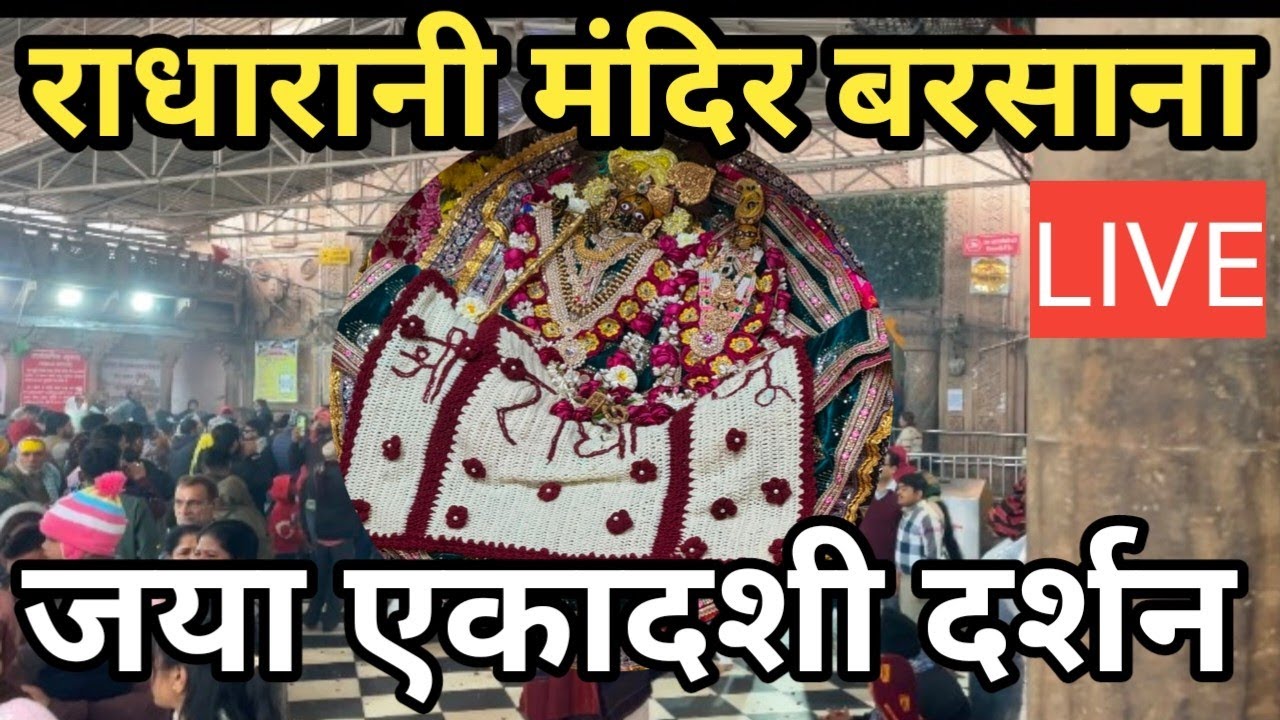 जया एकादशी पर राधारानी के मनमोहक दर्शन ll Radha rani temple barsana live darshan 
