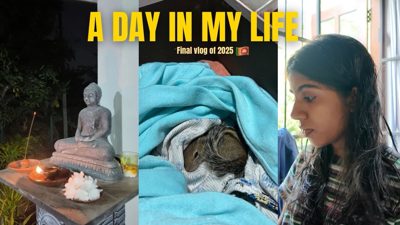 A day in my life | life එකෙන් දවසක් ✨