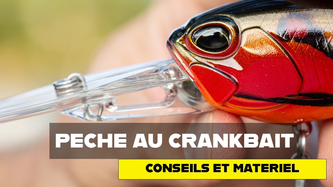 Comment choisir et utiliser ses Crankbaits ?