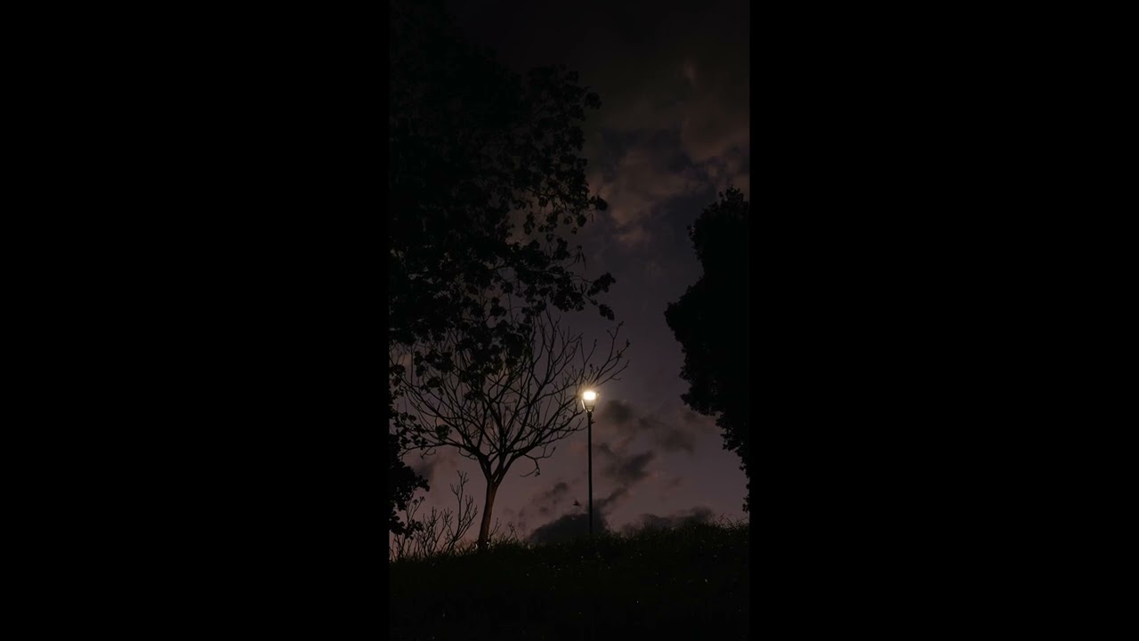 Dream Fall l Deep Sleep l 1h of Chill l 4k