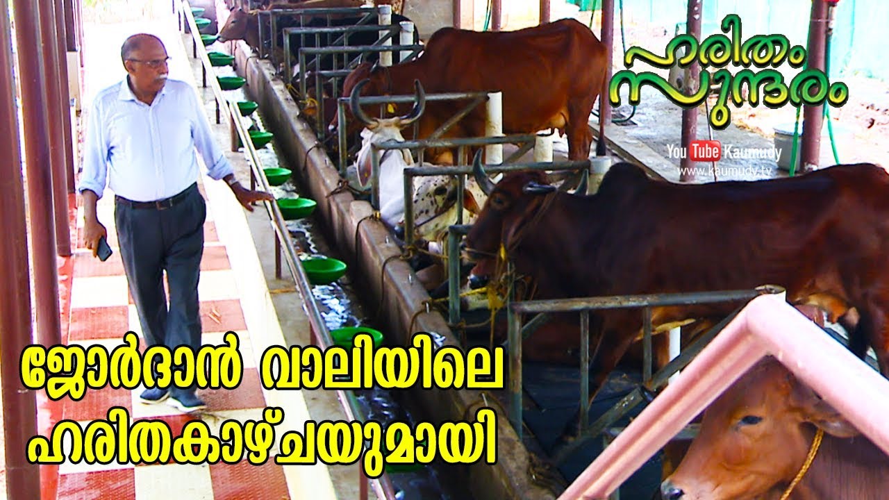 The profitable farming life of Jordan Valley Organic Farm | Haritham Sundharam | EP 201 | Kaumudy TV