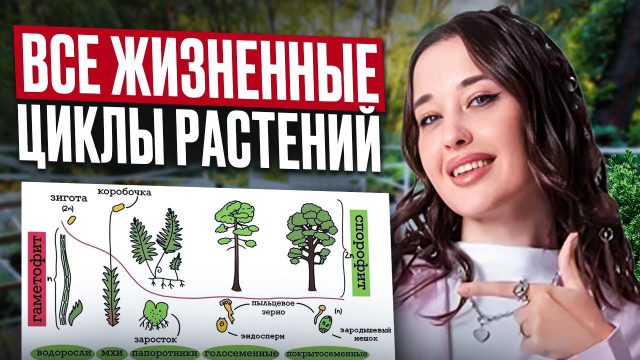 ЖИЗНЕННЫЙ ЦИКЛЫ ВСЕХ РАСТЕНИЙ  с нуля для ЕГЭ по биологии / Теория по БОТАНИКЕ из ЕГЭ по биологии