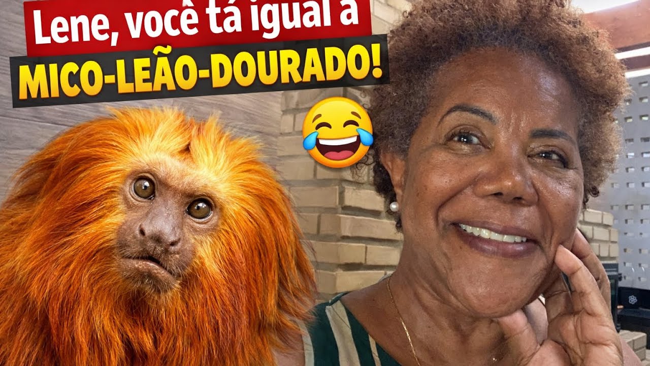 Lene, você está como um Mico Leão dourado