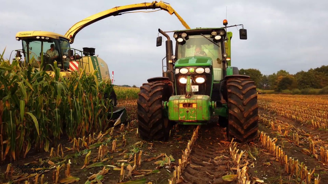 Maisernte XXL | LU Brüggen | Krone Big X700 | John Deere 7930/8320R/6250R | Krone | Hawe
