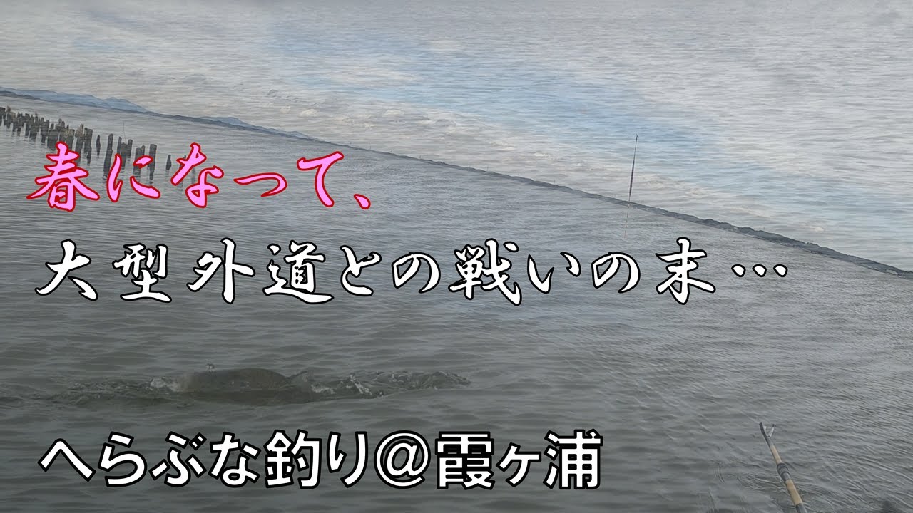 春になって大型外道たちが戦いに出るに及んだ果てに…へらぶな釣り＠霞ヶ浦