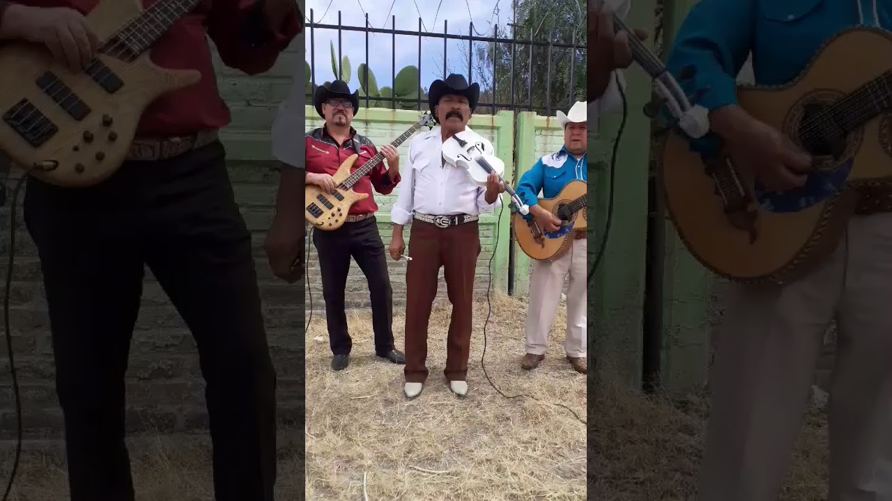 Los Luceritos de Michoacan - El Corral De Piedra