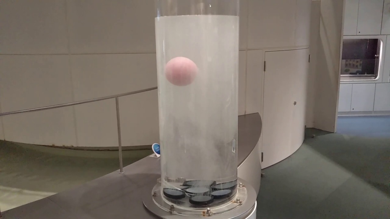 ぶくぶくタンク 名古屋市科学館