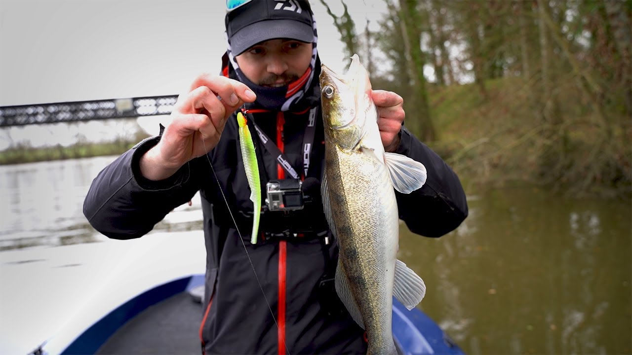 Astuces pour pêcher LE SANDRE ( le finesse sort encore du lot !!! )