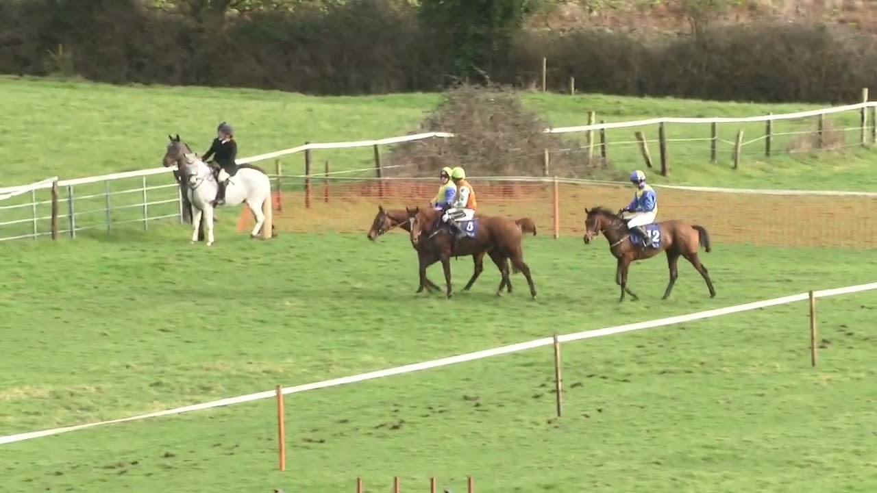 P2P - Dungarvan - 25 Jan 26 - R1 Bridgie Terries Restaurant & GAIN Equine Nutrition 5yo Mares Maiden