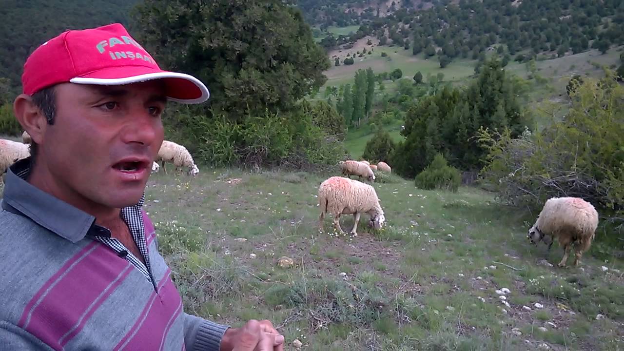 Isparta Yalvaç Yukarıkaşıkara Köyü Asarlık Mevkisi Rüştü Mert