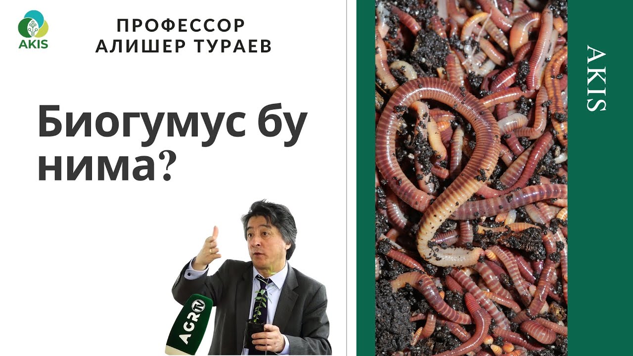 Биогумус бу нима?