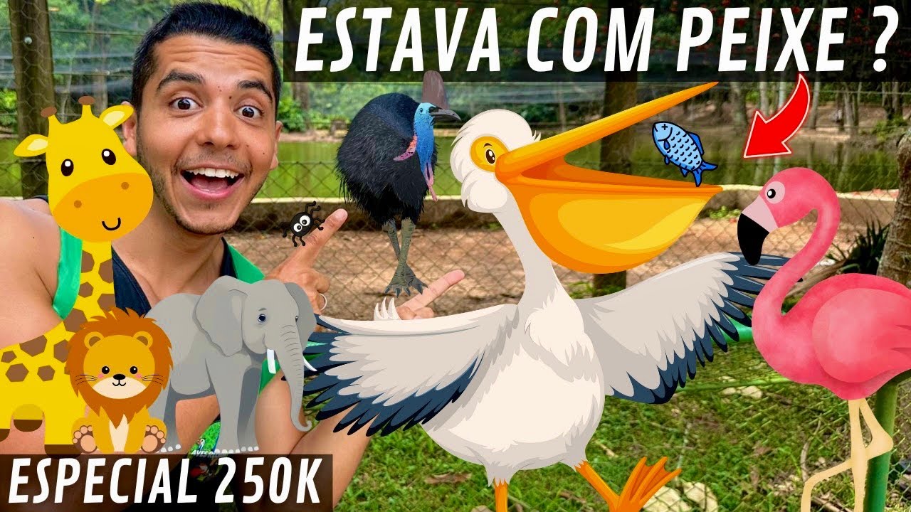 Zoológico de São Paulo | GROU Coroado CHOCANDO | Casuar | Flamingo | Pelicano | Harpia |Aves Recriar