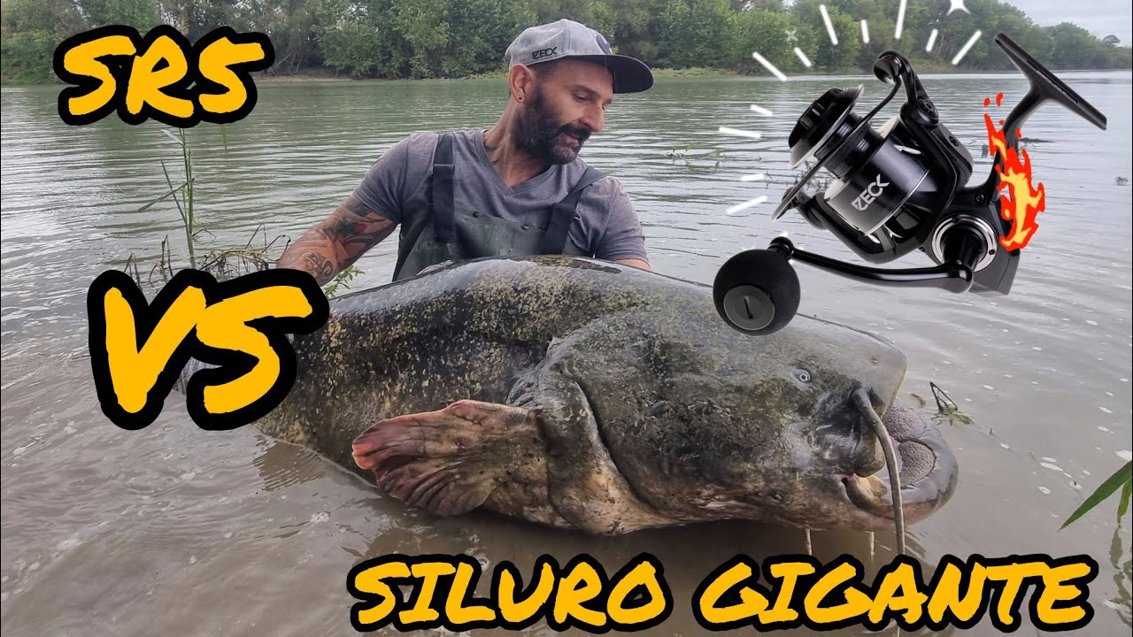 MULINELLO SR5 VS PESCE SILURO GIGANTE A SPINNING by Zeck Fishing Italia