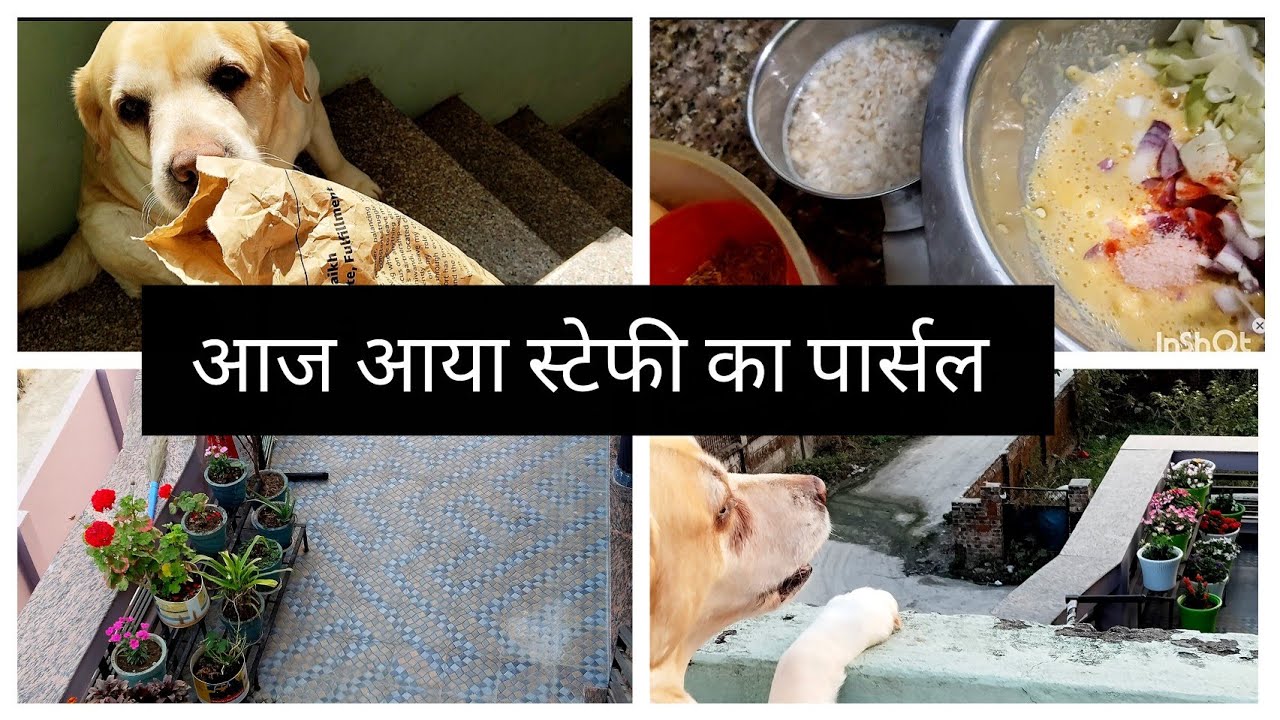 स्टेफी का पार्सल आ गया 