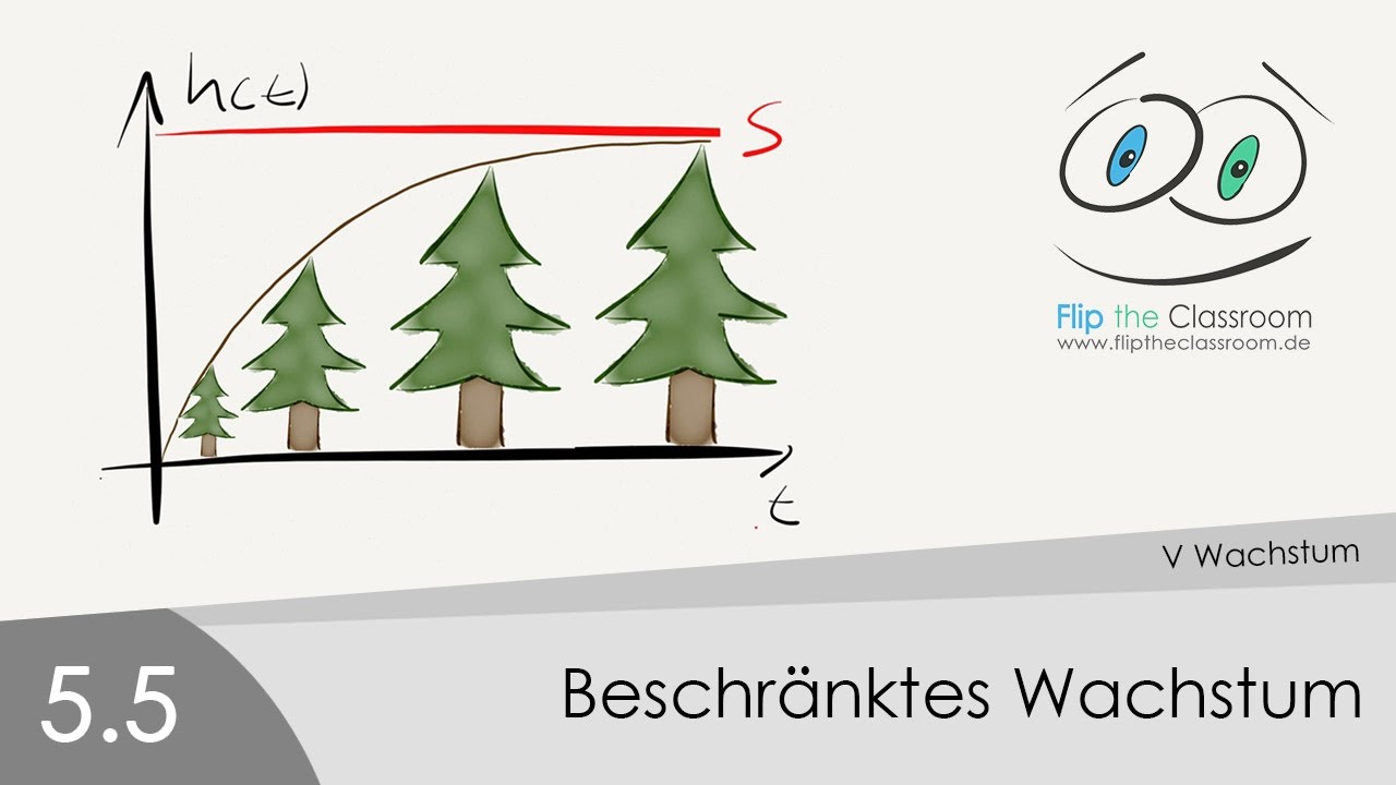 5.5 Beschränktes Wachstum