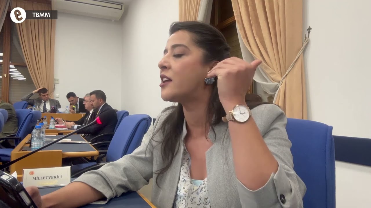 Sağlık Bakanlığı bütçesi komisyonda: Sağlık hizmetleri taşerona, bütçe şirketlere