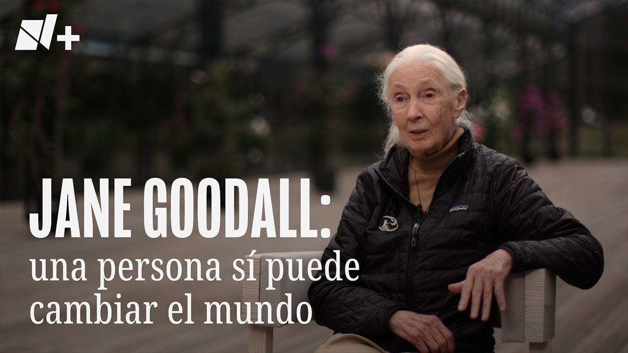 Jane Goodall: una persona sí puede cambiar el mundo - N+