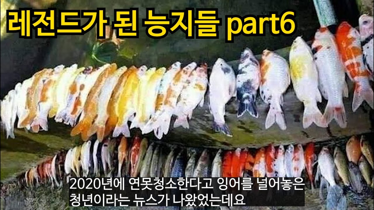 레전드가 된 능지들 part6