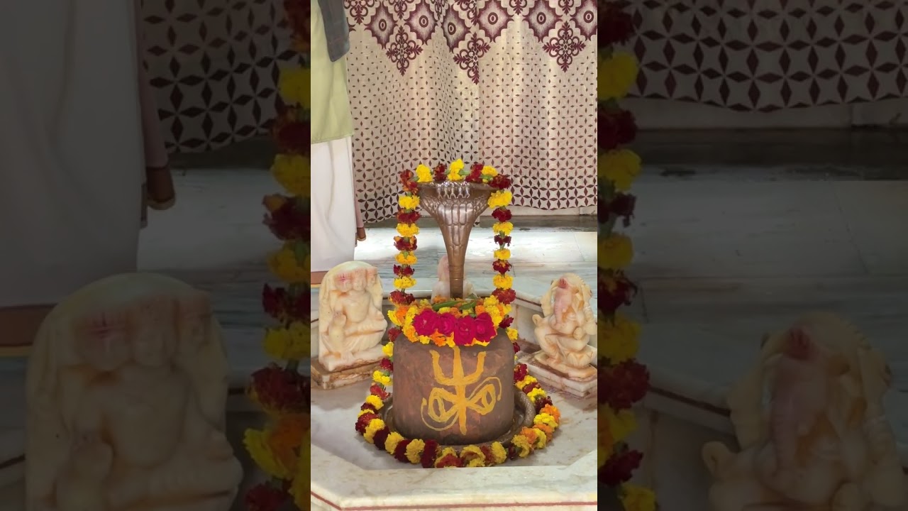 शिवलिंग और मूर्ति में क्या अंतर है #viral #devotional #video #shivpurankatha 