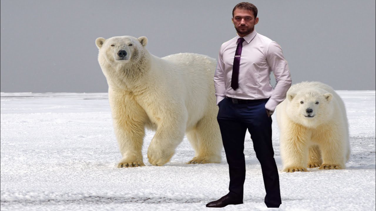 Justice for Polar Coordinate System