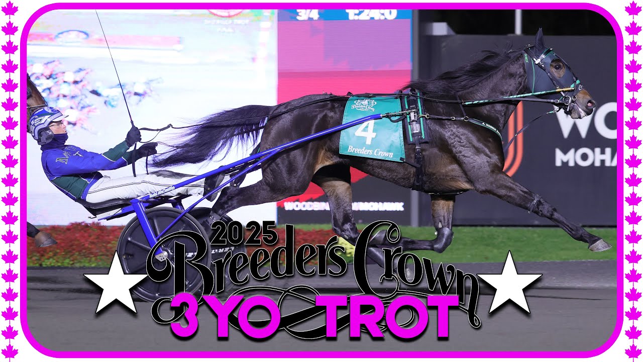 2025 Breeders Crown | Yo Tillie | 3FT