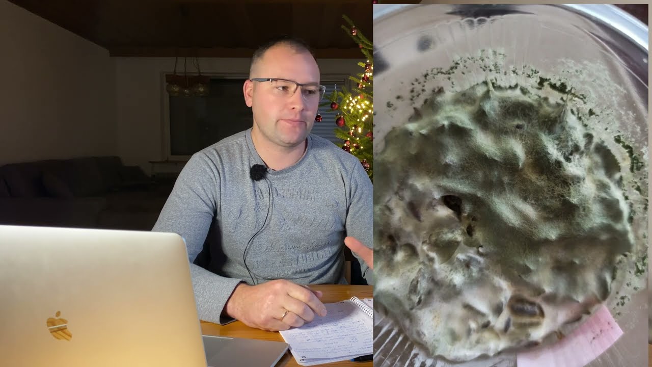Новий продукт ЖИВОЇ ТРИХОДЕРМИ - що це та скільки коштує