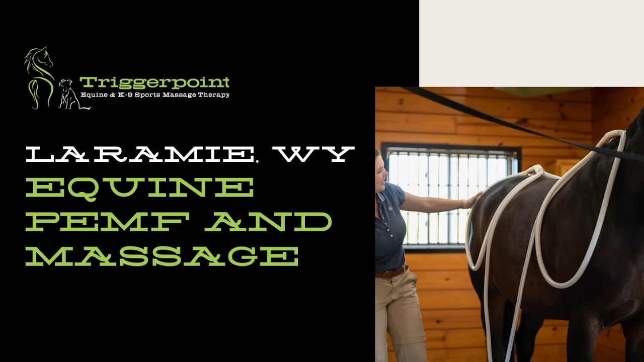 Laramie, WY Equine PEMF and Massage