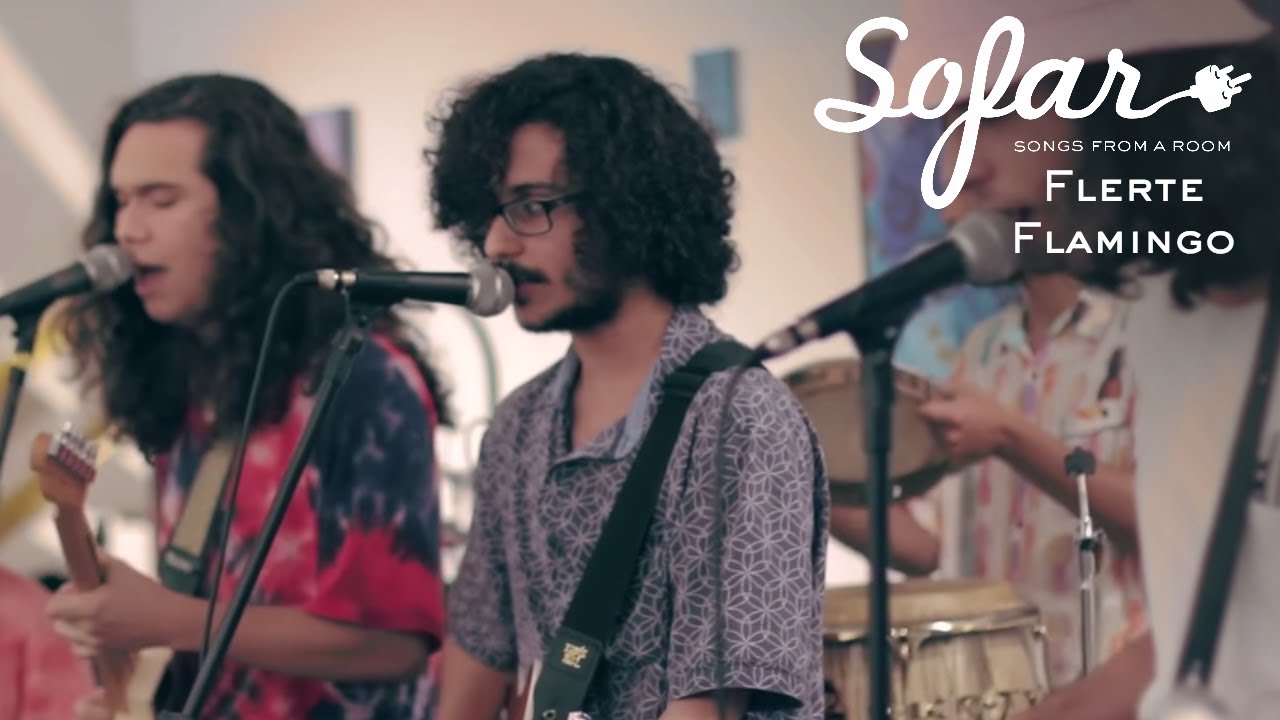 Flerte Flamingo - Munição | Sofar Salvador