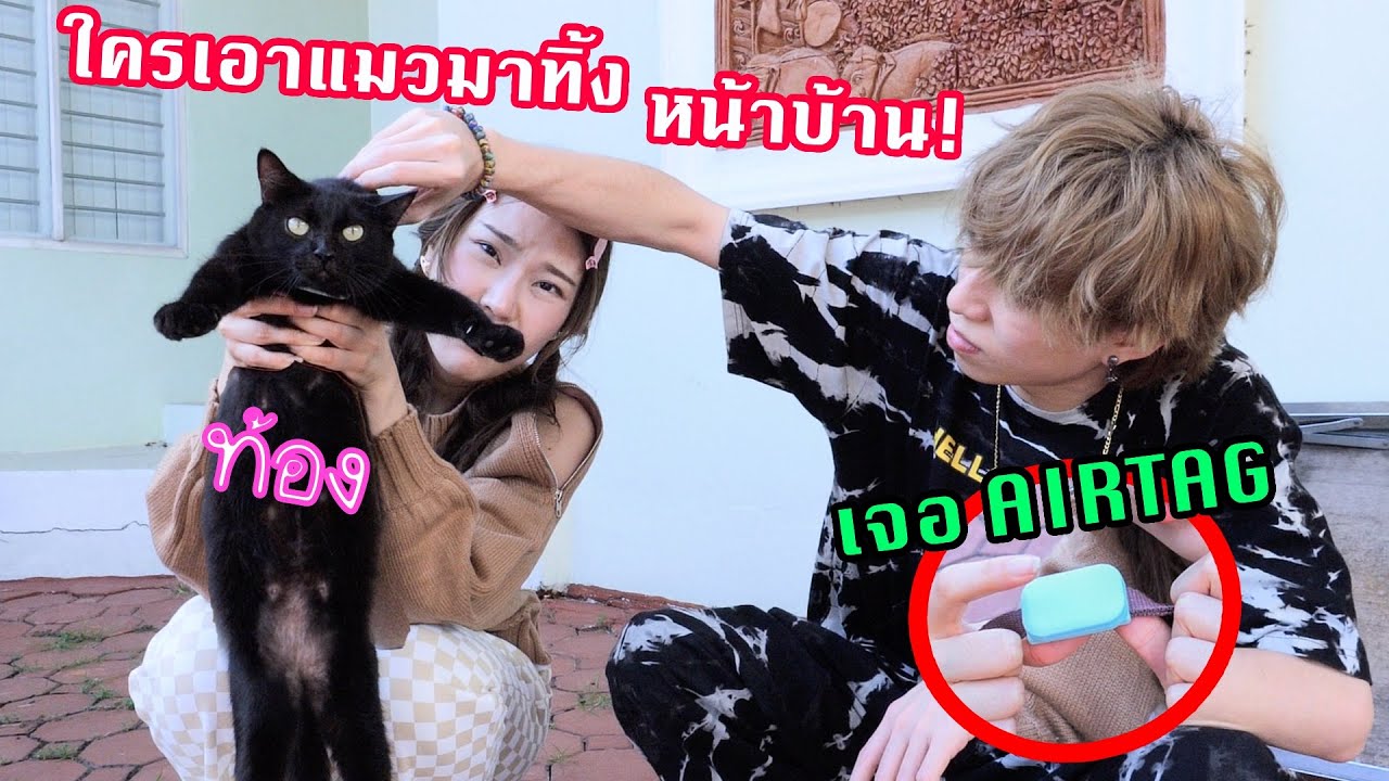 ใครเอาแมวท้องมาทิ้งในถังขยะหน้าบ้าน (เจอ Airtag ปริศนา)!