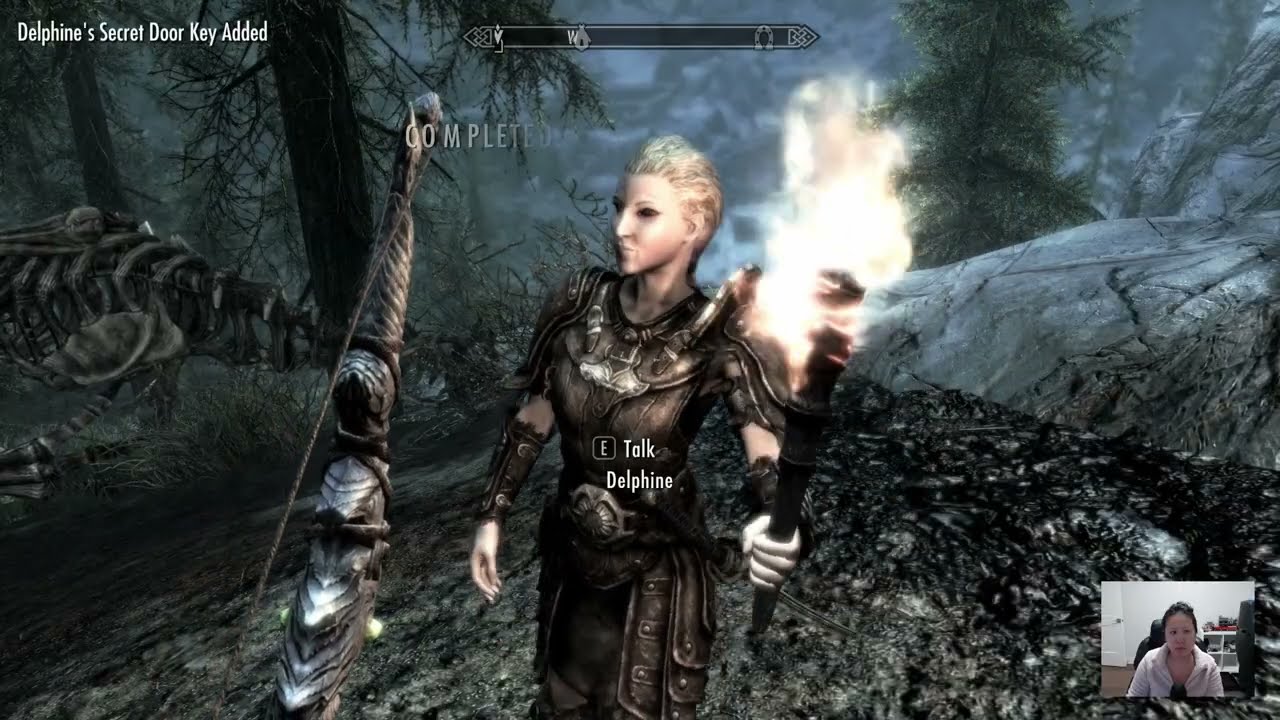 My first dragon fights