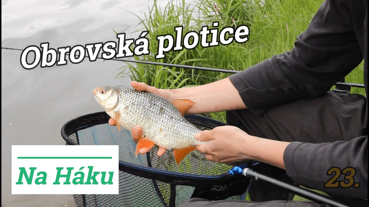 Základy FEEDERU na řece.
