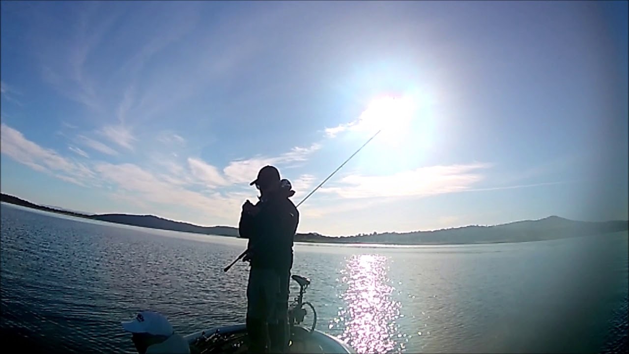 FLW 2021 ORELLANA