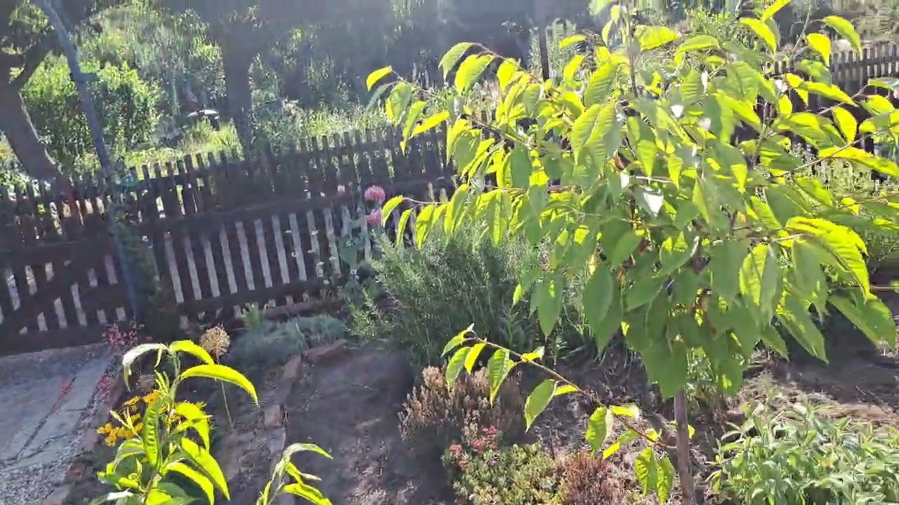 Da vam pokazem bastu prezafovoljna sam🥒🥬🧅🥕🥔
