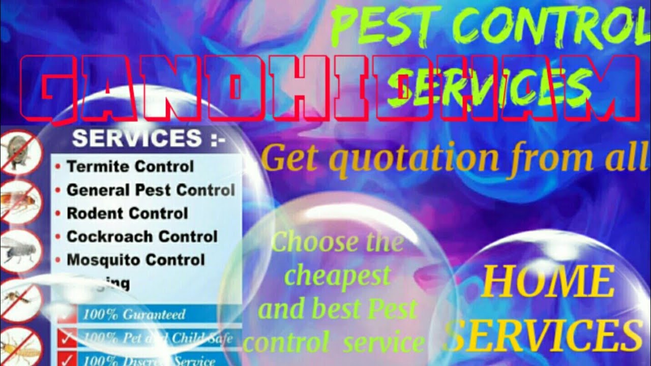 GANDHIDHAM     Pest Control Services ~ Technician ~Service at your home ~ Bed Bugs ~ near me 1280x72