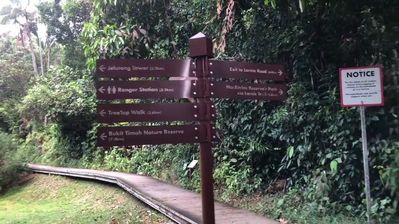 Singapore Central Catchment Reserve walking tour