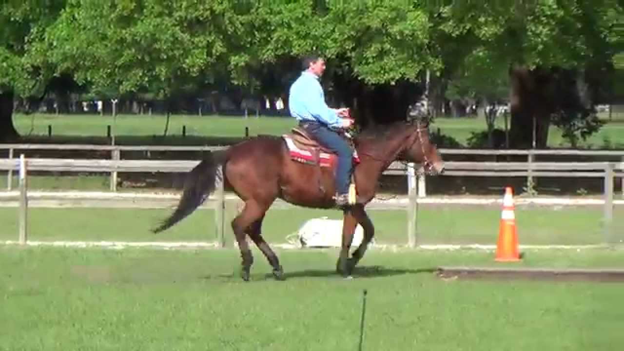 Tim Haupt Green Horse 1st Run Darby Oaks EXCA