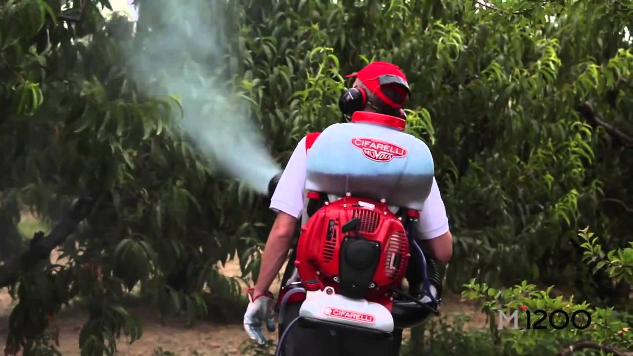 Cifarelli M1200