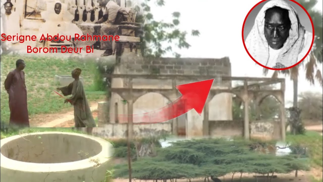 Tollu Deur Bi 1938: À la découverte des champs de Serigne Abdoulahi Mbacke Borom Deur Bi